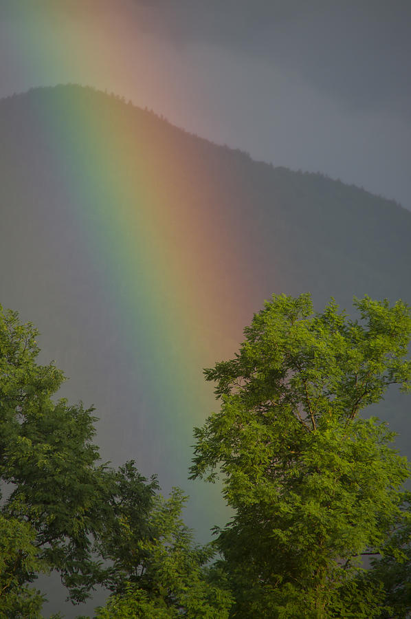 Mountain Rainbow Photograph by Larry Bohlin