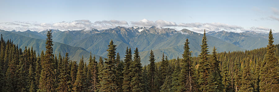 Mountain Range, Olympic Mountains Photograph by Panoramic Images