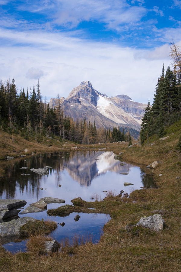Mountain Reflection Photograph by Bill Cubitt