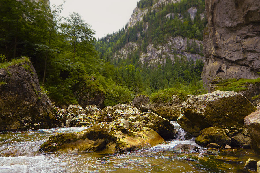 Mountain River With Rocks Photograph by Vlad Baciu
