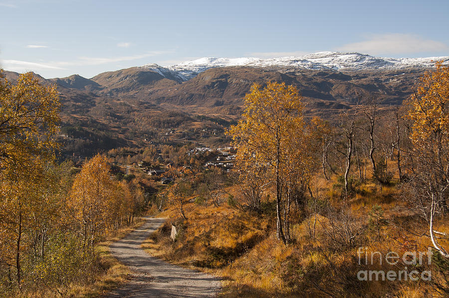 Mountain Photograph - Mountain road in fall by Gry Thunes
