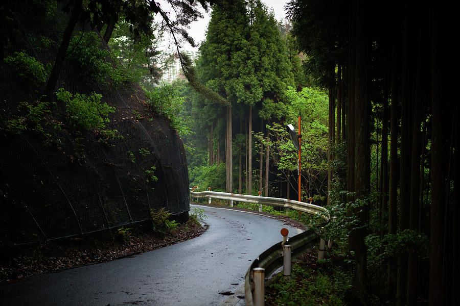 Mountain Road Outside Of Kyoto Photograph by Hal Bergman
