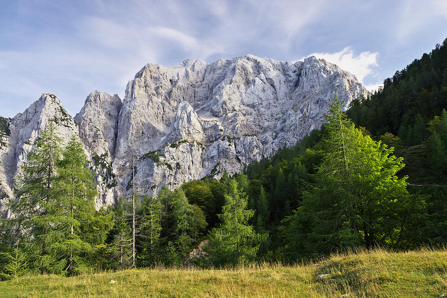 Mountain scene Photograph by Ivan Slosar
