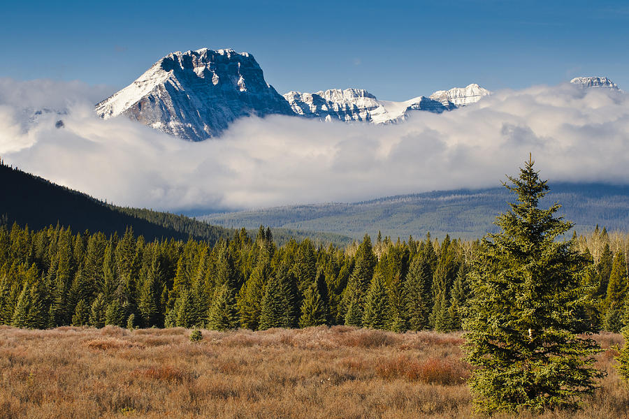 Mountain Scenes Photograph By Brandon Smith - Pixels