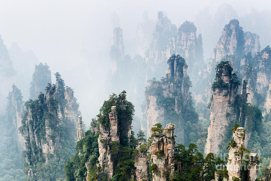 Mountain spires rising from fog at Zhangjiajie National Forest P Photograph by Maxim Images Exquisite Prints