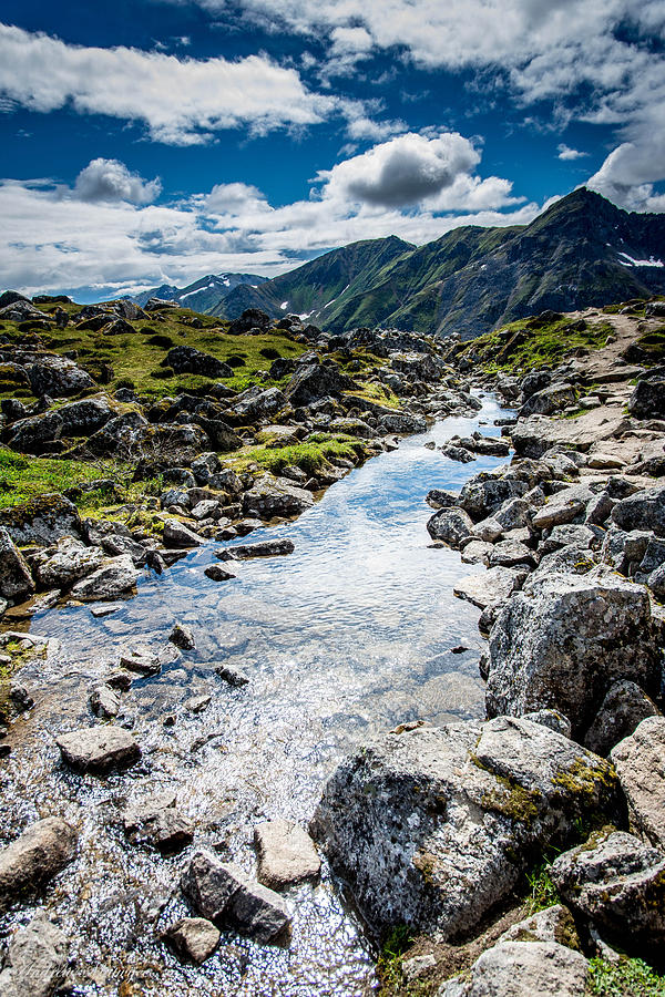Mountain Stream Photograph by Andrew Matwijec