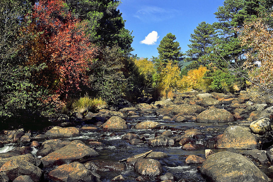 Mountain Stream Autumn Photograph by Sally Weigand