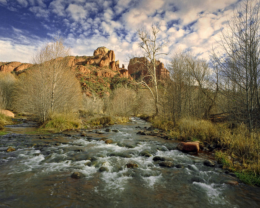 Mountain Stream by Cathedral Rock in Sedona Arizona Photograph by Randall Nyhof