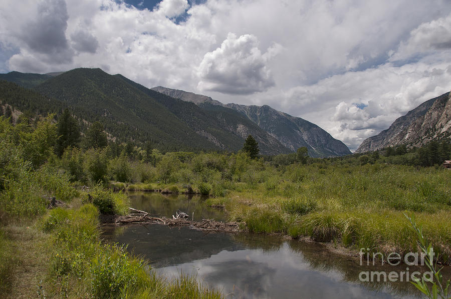 Beaver Dam Photograph - Mountain Stream by David Arment Beaver Dam Photograph - Mountain Stream by David Arment