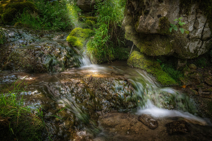 Nature Photograph - Mountain stream by Dobromir Dobrinov