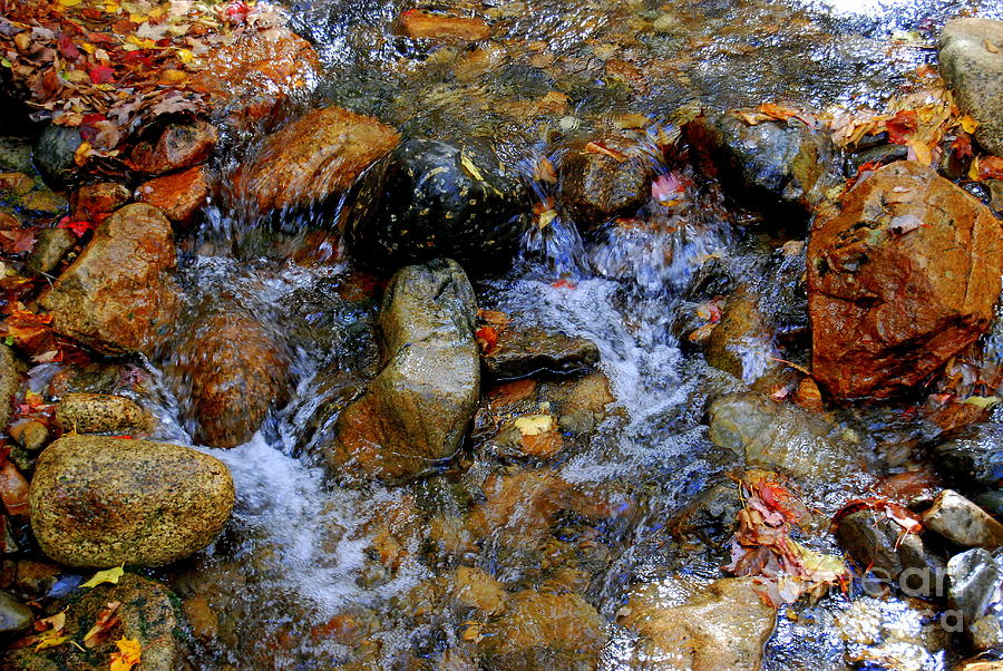 Mountain Stream In Autumn Photograph by Eunice Miller