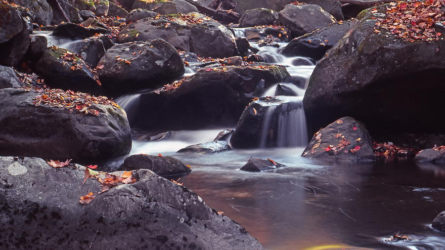 Mountain Stream Photograph by Harold Rau