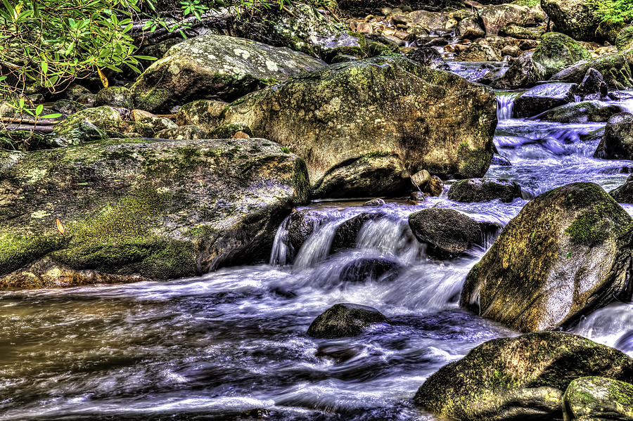 Mountain Stream Photograph by Harry B Brown