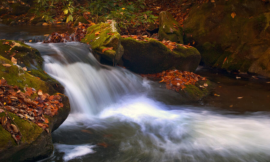 Mountain Stream in Autumn Photograph by Paul W Faust -  Impressions of Light