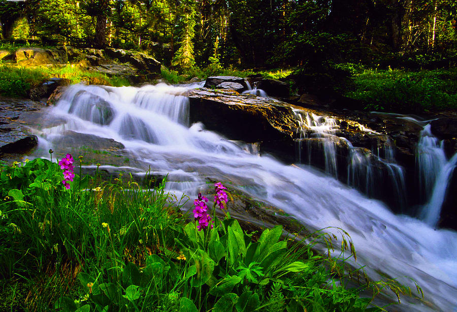 Mountains Photograph - Mountain stream in Colorado by Mike Bennett Mountains Photograph - Mountain stream in Colorado by Mike Bennett