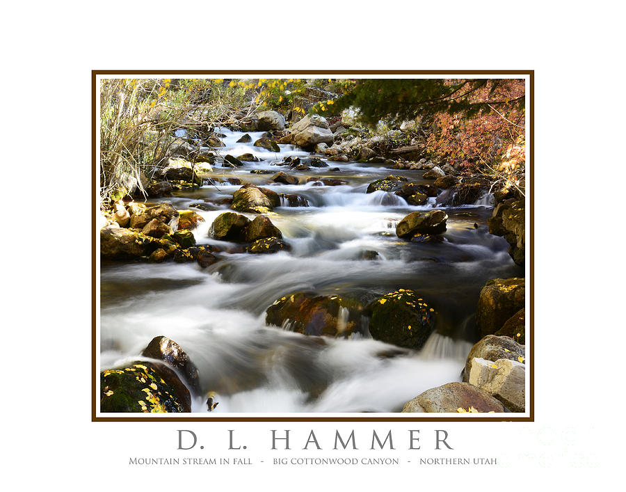 Mountain Stream in Fall Photograph by Dennis Hammer