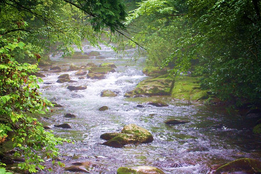 Mountain Stream In The Morning Photograph