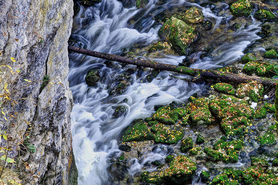 Mountain stream Photograph by Ivan Slosar