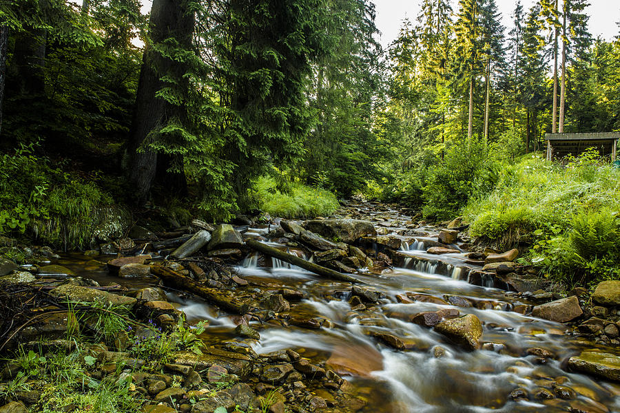 Mountain stream Photograph by Jaroslaw Grudzinski