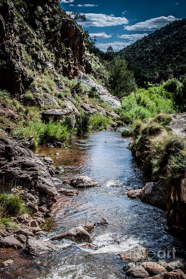 Mountain Stream Photograph by Jim McCain