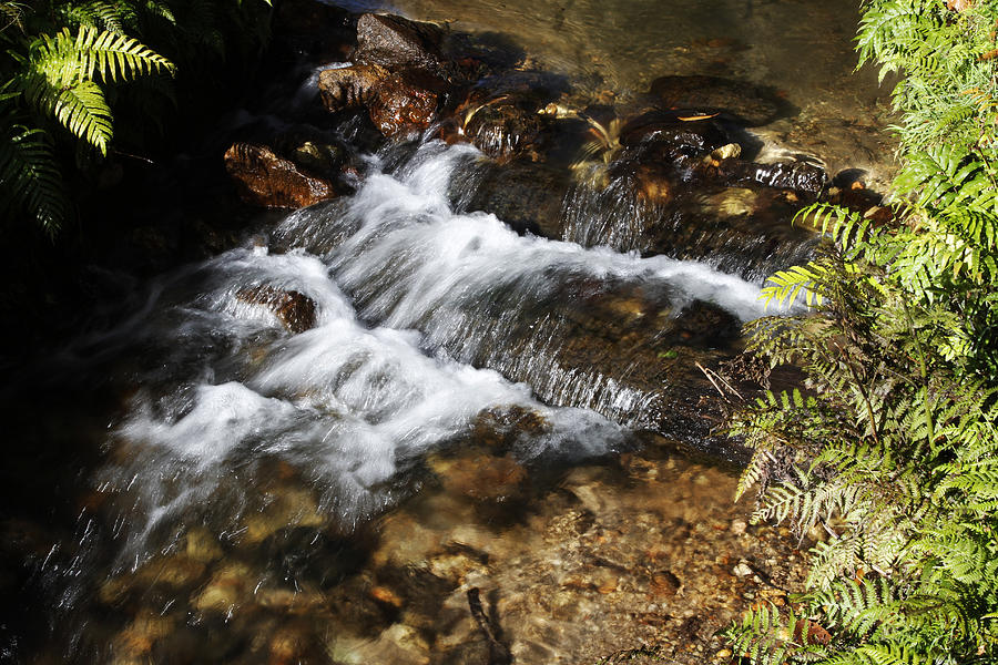Mountain stream Photograph by Les Cunliffe