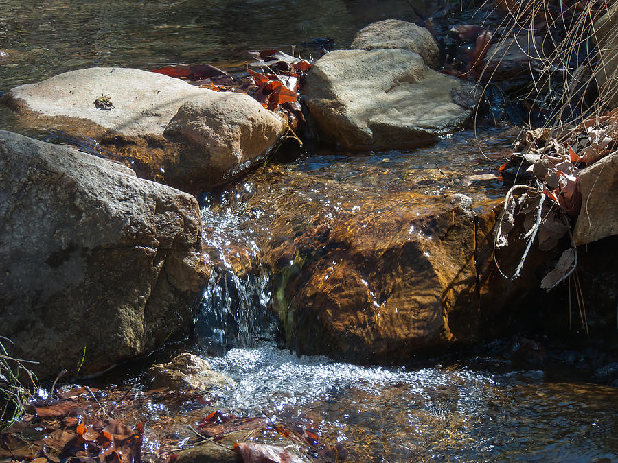 Mountain Stream Photograph by Lucinda Walter