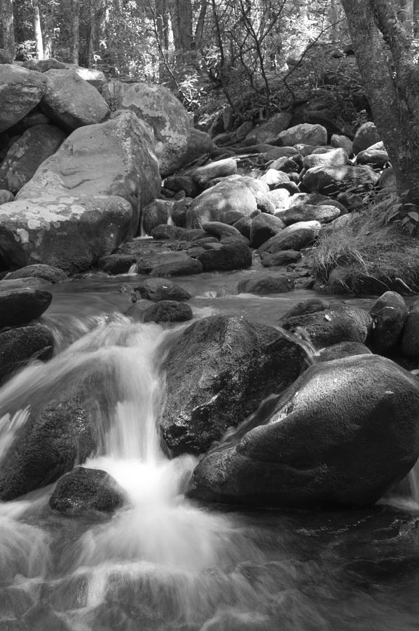 Mountain Stream Monochrome Photograph by Larry Bohlin