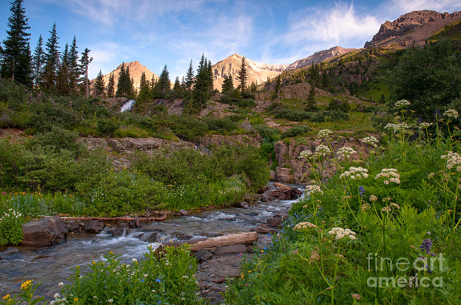 Mountain Stream Photograph by Steve Stuller