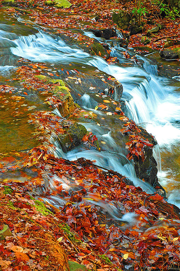 Mountain Stream Waterfall Autumn Photograph