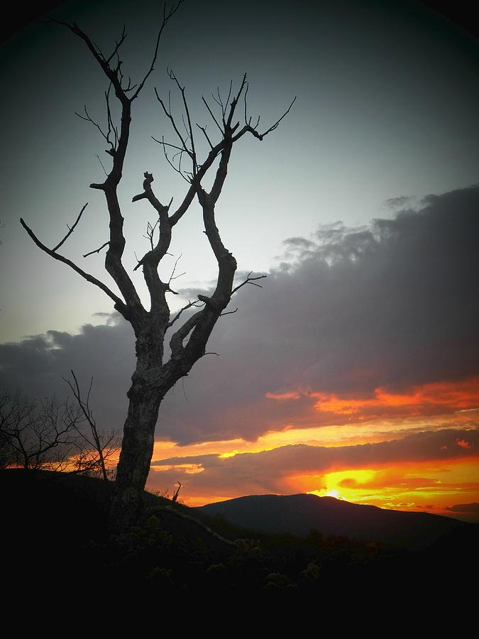 Mountain Sunset Photograph by Joyce Kimble Smith