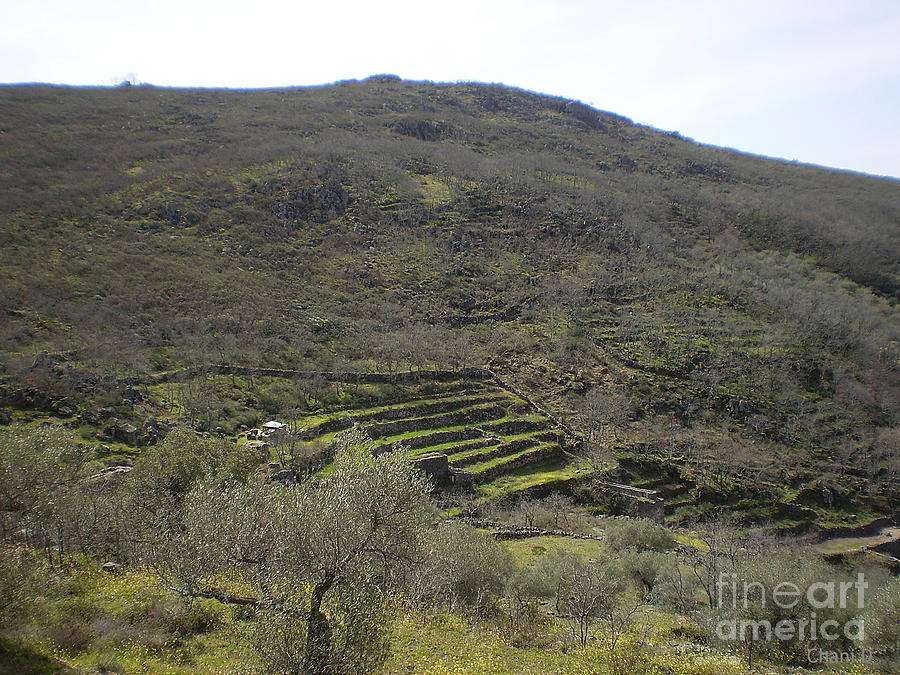 Mountain terraces in Extremadura Photograph by Chani Demuijlder