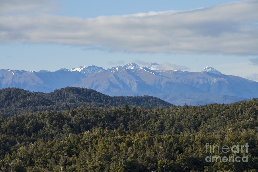 Tree Photograph - Mountain Tips in the Motueka Valley by Bob Phillips