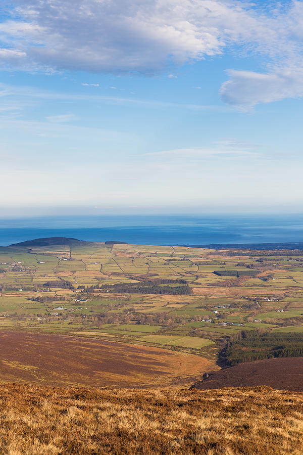 Mountain view from Djouce Mountain towards Greystones Photograph by Semmick Photo