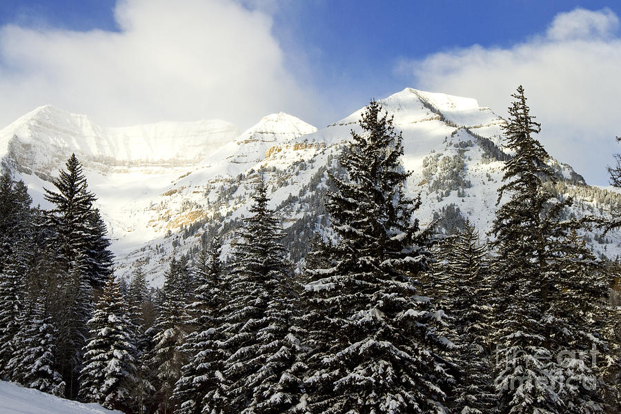 Winter Photograph - Mountain View by Scott Pellegrin