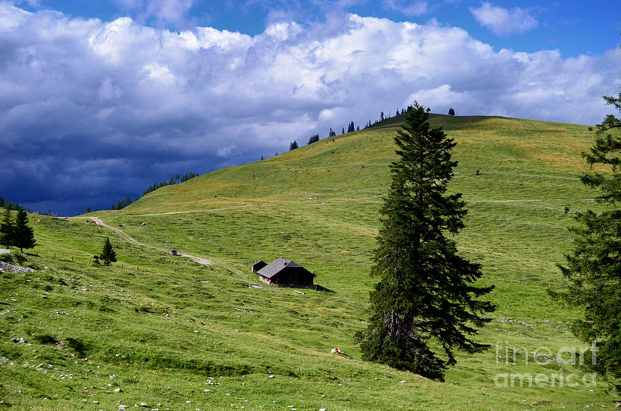 Mountain Photograph - Mountain View with a Cabin Austria by Sabine Jacobs