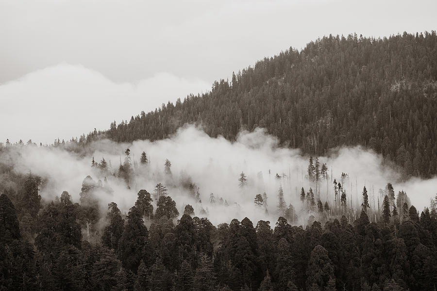 Mountain With Fog Photograph