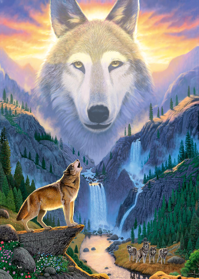 Mountain Wolf Photograph by MGL Meiklejohn Graphics Licensing