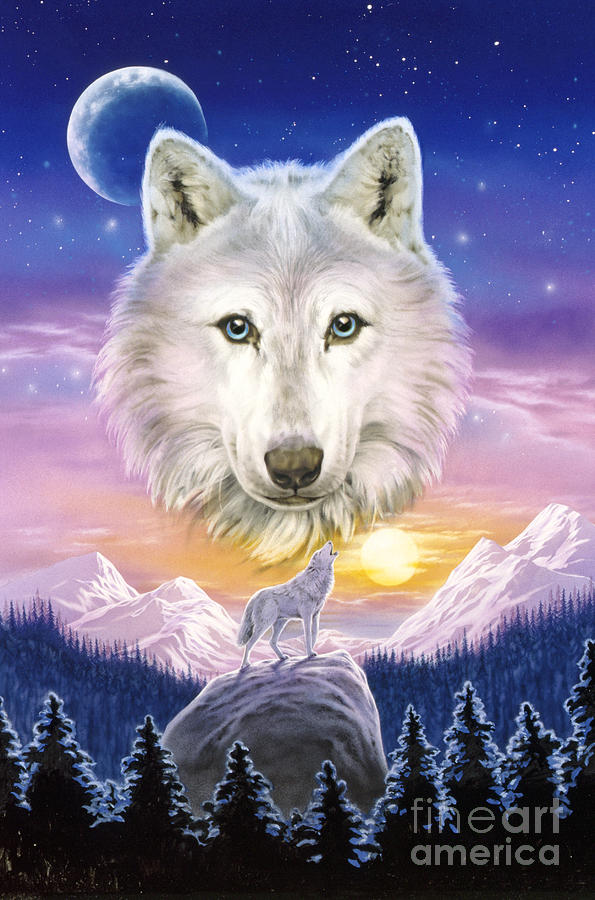 Sunset Digital Art - Mountain Wolf by MGL Meiklejohn Graphics Licensing