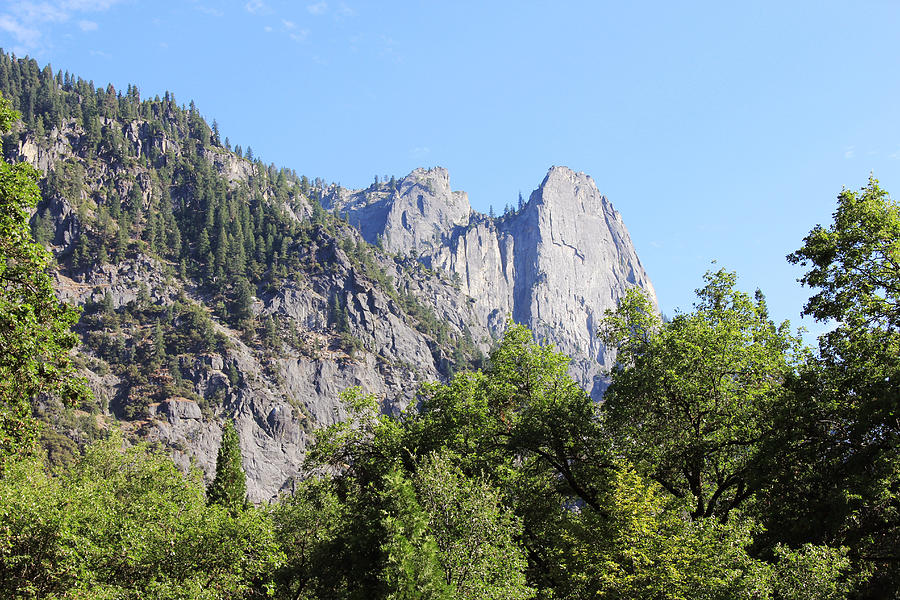 Mountain. Yosemite Photograph by Masha Batkova