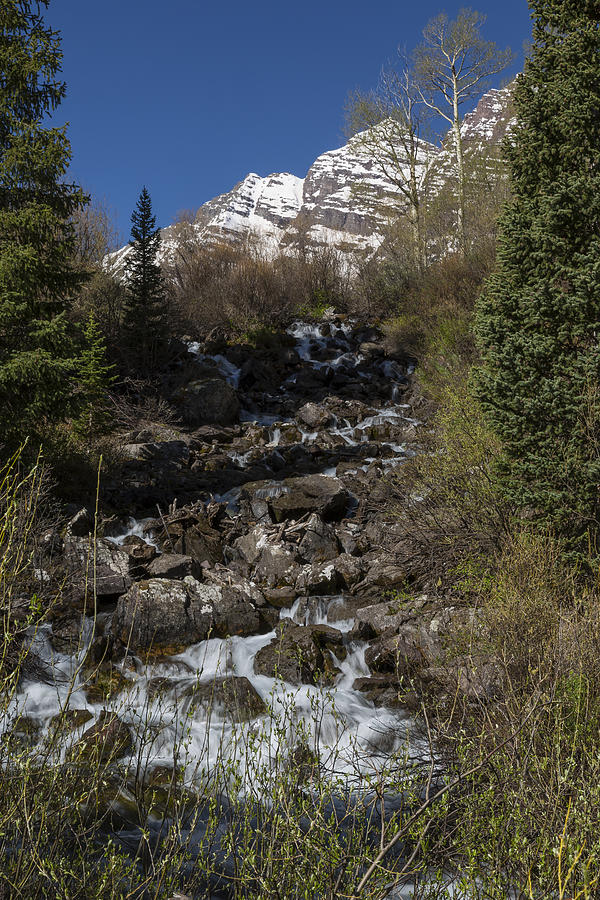 Tree Photograph - Mountains CO Maroon Creek 2 by John Brueske