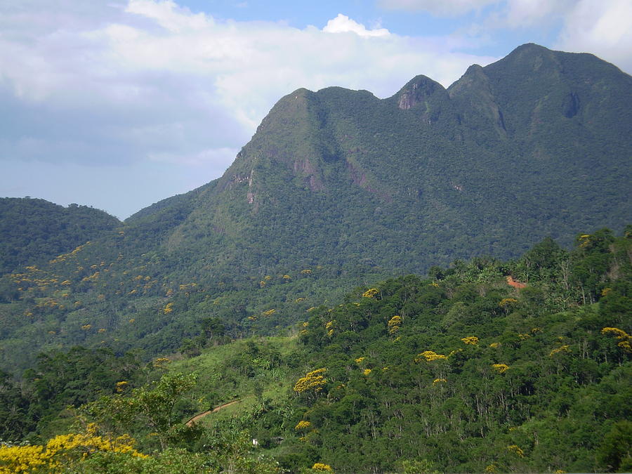 Mountains in Brazil Photograph by Florentina De Carvalho | Fine Art America