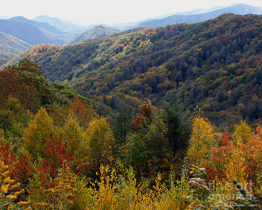 Mountains Leaves Photograph by Susan Cliett