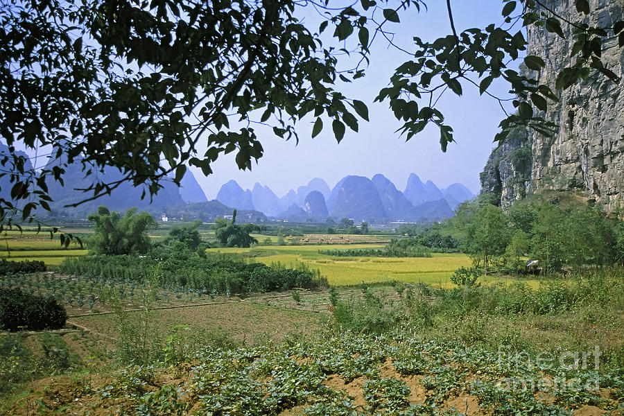 mountains near Yangshou and Guilin  Photograph by Rudi Prott