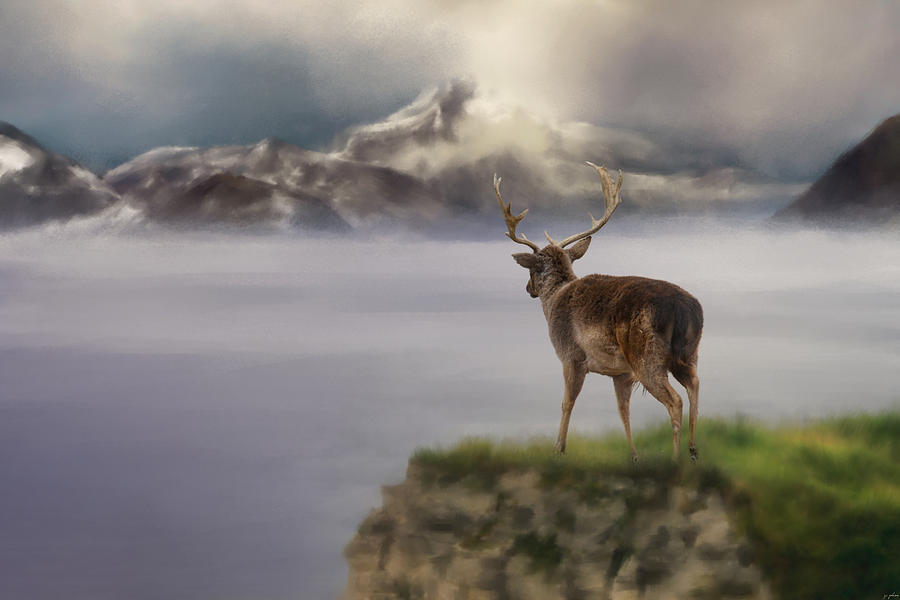Animal Photograph - Mountains Out Of Reach by Jai Johnson