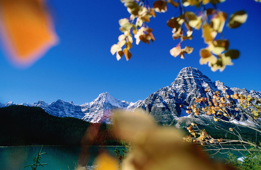 Mountains Surround Waterfowl Lake In Photograph by Ascent/pks Media Inc.