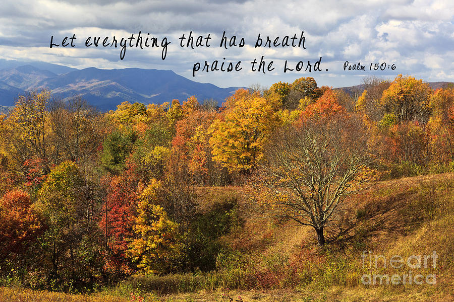 Mountains with Scripture Photograph by Jill Lang