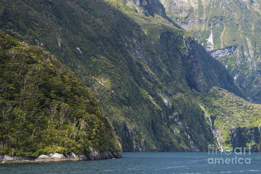 Mountainside at Milford Sound Photograph by Bob Phillips