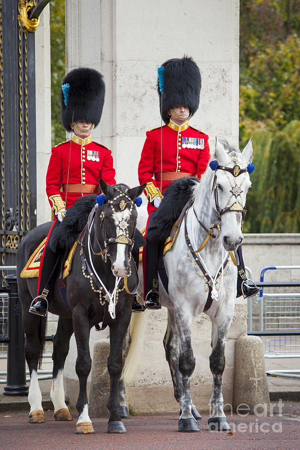 Mounted Guard Photograph by Brian Jannsen Fine Art America