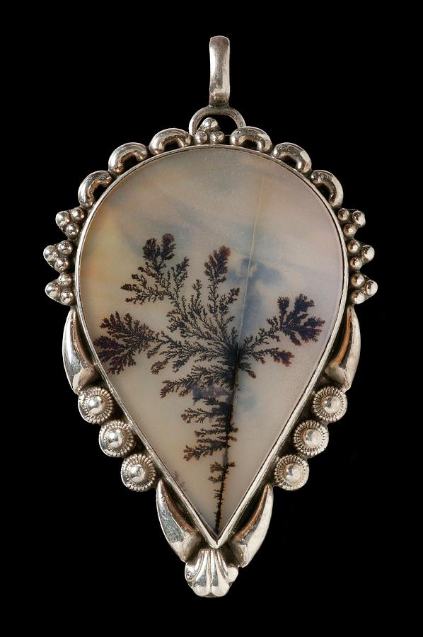Mounted India Dendritic Agate Photograph by Natural History Museum, London/science Photo Library