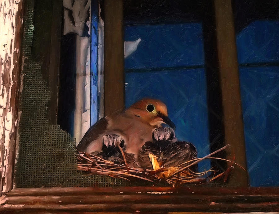Mourning Dove With Chicks Digital Art by Flees Photos